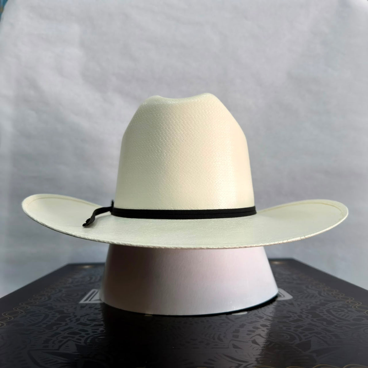 Sombrero Sinaloa 100x